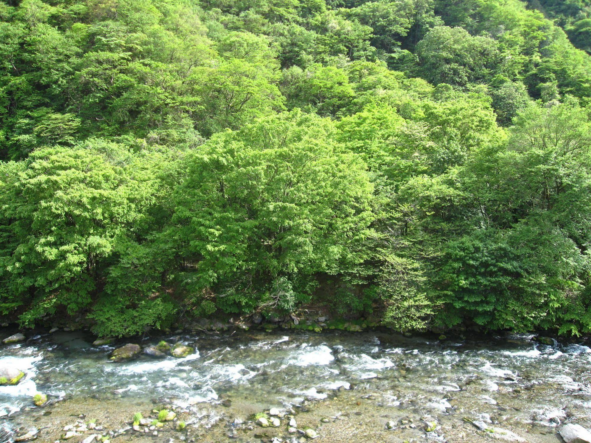 小槌之宿 鹤龟大吉 日光 外观 照片